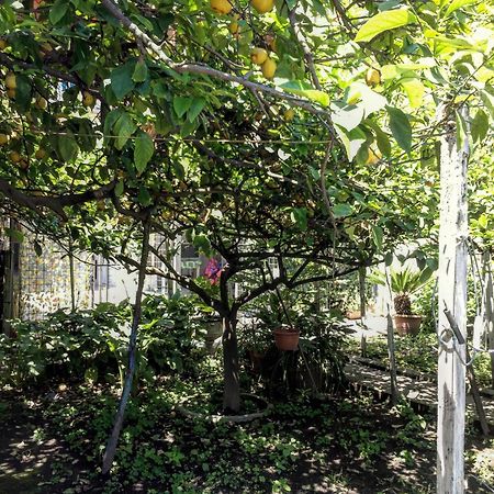 B&B Rectina Помпей Екстериор снимка